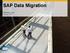 SAP Data Migration. Mfanafuthi Dube July 24, 2012