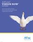 AFLAC VISION NOW. You can never see into the future. But our vision plan helps make the path to getting there a little clearer.
