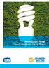 More Bright Ideas A Smarter Business Guide to Energy Efficiency