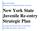 New York State Juvenile Re-entry Strategic Plan