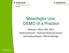 Meaningful Use: DEMO of a Practice. Michael J. Mirro, MD, FACC Medical Director : Parkview Research Center Electrophysiologist : PPG-Cardiology