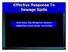 Effective Response To Sewage Spills. David Patzer, Risk Management Solutions CSRMA Risk Control Advisor 707.373.9709