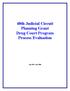 40th Judicial Circuit Planning Grant Drug Court Program Process Evaluation