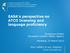 EASA s perspective on ATCO licensing and language proficiency