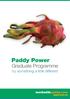 Graduate Programme try something a little different