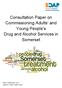 Consultation Paper on Commissioning Adults and Young People s Drug and Alcohol Services in Somerset