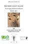AFRICAN STUDBOOK WESTERN GIANT ELAND. Taurotragus derbianus derbianus (GRAY, 1847) 2009 Current until the 30 June 2009 English-French version