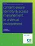 content-aware identity & access management in a virtual environment