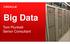 Big Data. Tom Plunkett Senior Consultant