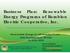 Business Plan: Renewable Energy Programs of Romblon Electric Cooperative, Inc.
