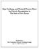 Data Exchange and Protocol Process Flows for Electric Deregulation in The State of New Jersey