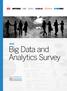 Big Data and Analytics Survey. Exclusive Research from