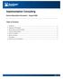 Implementation Consulting