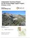 Independent Technical Report for the Oracle Ridge Copper Project, Arizona, U.S.A.