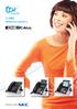 To NEC telephone systems