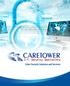 I.T. Security Specialists. Cyber Security Solutions and Services. Caretower Corporate Brochure 2015 1