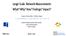 Large-Scale Network Measurements What? Why? How? Findings? Impact?