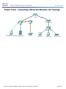 Packet Tracer - Connecting a Wired and Wireless LAN Topology