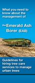 What you need to know about the management of. the Emerald Ash. Borer (EAB) Guidelines for hiring tree care services to manage urban trees