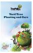 Yard Tree Planting and Care
