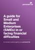 A guide for Small and Medium Enterprises (SMEs) in or facing financial difficulties