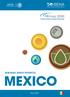 RENEWABLE ENERGY PROSPECTS: MEXICO