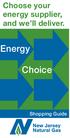 Choose your energy supplier, and we ll deliver. Energy. Choice. Shopping Guide