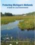 Protecting Michigan s Wetlands A Guide for Local Governments