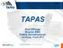 TAPAS. Arnt Offringa Director R&D Fokker Aerostructures Ypenburg, 12 juni 2013