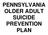 PENNSYLVANIA OLDER ADULT SUICIDE PREVENTION PLAN