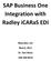 SAP Business One Integration with Radley icaras EDI. Mascidon, LLC March, 2011 Dr. Don Maes 248-568-0418