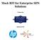 Mock RFI for Enterprise SDN Solutions