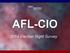 AFL-CIO. 2014 Election Night Survey