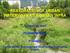 RESTORATION OF URBAN WATERWAYS AS A GREEN INFRA