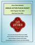 ANNUAL ACTION PLAN & BUDGET