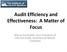 Audit Efficiency and Effectiveness: A Matter of Focus. Manny Rosenfeld, Vice President of Internal Audit, Commercial Metals Company