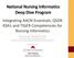 National Nursing Informatics Deep Dive Program