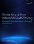 Going Beyond Plain Virtualization Monitoring