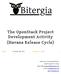 The OpenStack Project Development Activity (Havana Release Cycle)