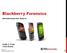 Blackberry Forensics. Shafik G. Punja Cindy Murphy. SANS DFIR Summit 2014 Austin TX. June-9-14 Copyright QuByte Logic Ltd