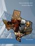TEXAS COURT SECURITY INCIDENTS REPORT