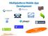 Multiplatform Mobile App Development