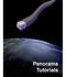 Panorama Handbook. Panorama Tutorials (Version 6.0) Copyright 2010, ProVUE Development, All Rights Reserved