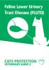 Feline Lower Urinary Tract Disease (FLUTD)