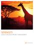 Serengeti Legal e-billing & project management