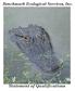 Ecological Services, Inc. Benchmark Ecological Services, Inc. Statement of Qualifications