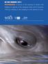 EU ZOO INQUIRY 2011 DOLPHINARIA A review of the keeping of whales and
