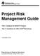 Project Risk Management Guide