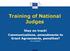Training of National Judges