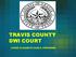 TRAVIS COUNTY DWI COURT JUDGE ELISABETH EARLE, PRESIDING